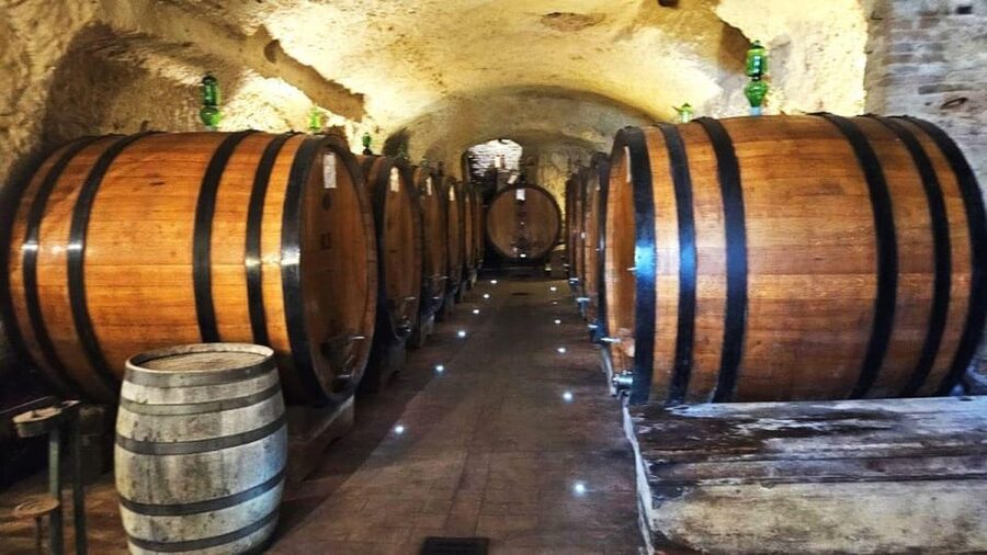 From Rome: Tuscany, Montepulciano Tour with Wine & Lunch - Montalcino and the story of Brunello