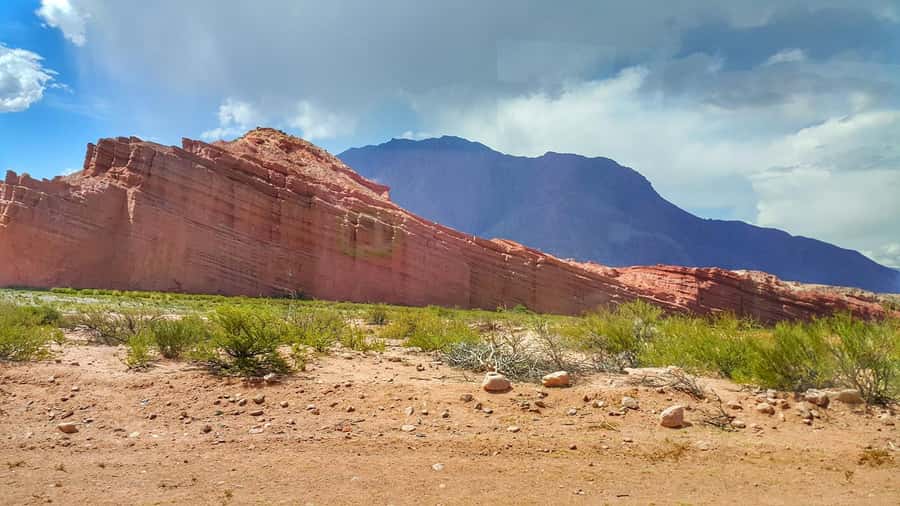 From Salta: Cafayate Day Trip with Wine Tasting - Wine tasting in Cafayate
