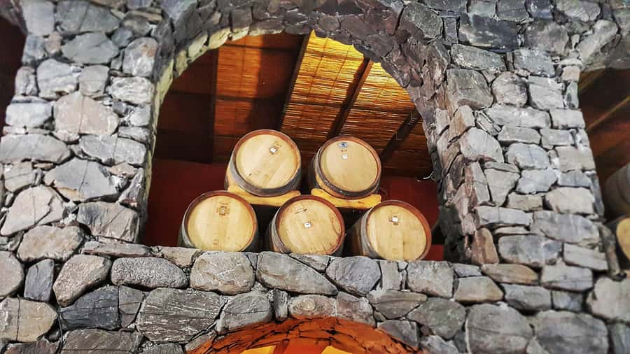 From Salta: Cafayate Day Trip with Wine Tasting - Is $40 good value?