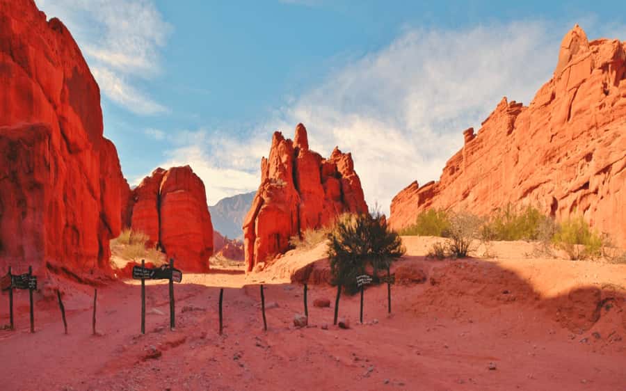From Salta: Cafayate, land of wines and imposing ravines - Key points before you book