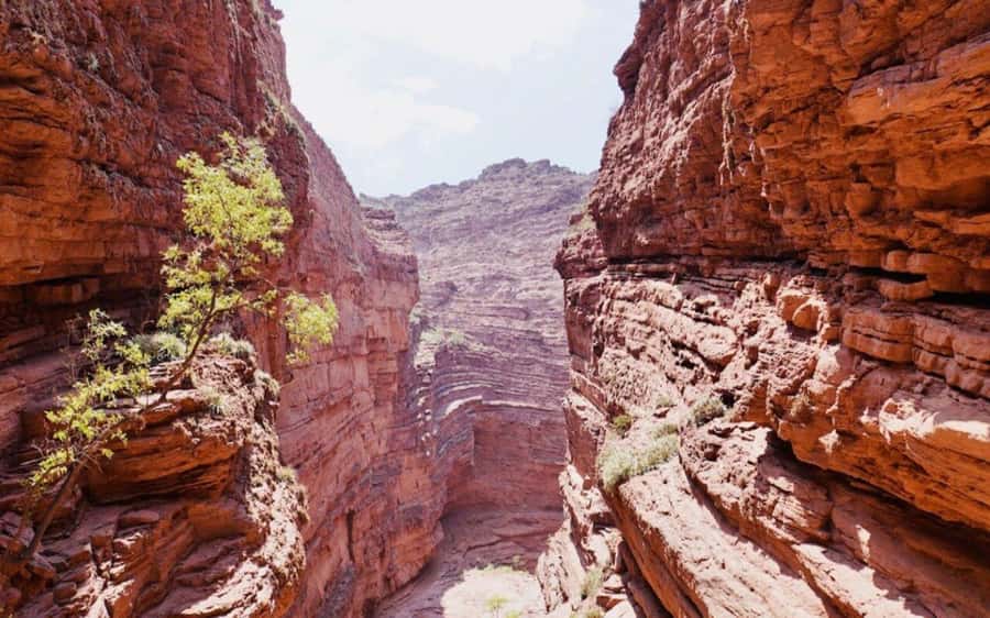 From Salta: Cafayate, land of wines and imposing ravines - Who will enjoy this excursion most?