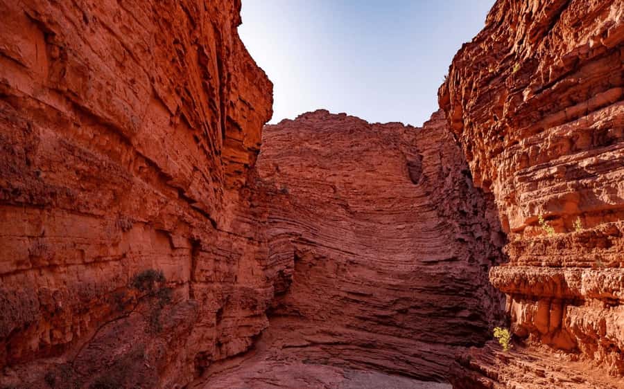 From Salta: Cafayate, land of wines and imposing ravines - The winery visit and Cafayate’s wine country