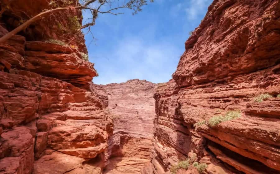 From Salta: Cafayate, land of wines and imposing ravines - Guides, language, and the pace of the day