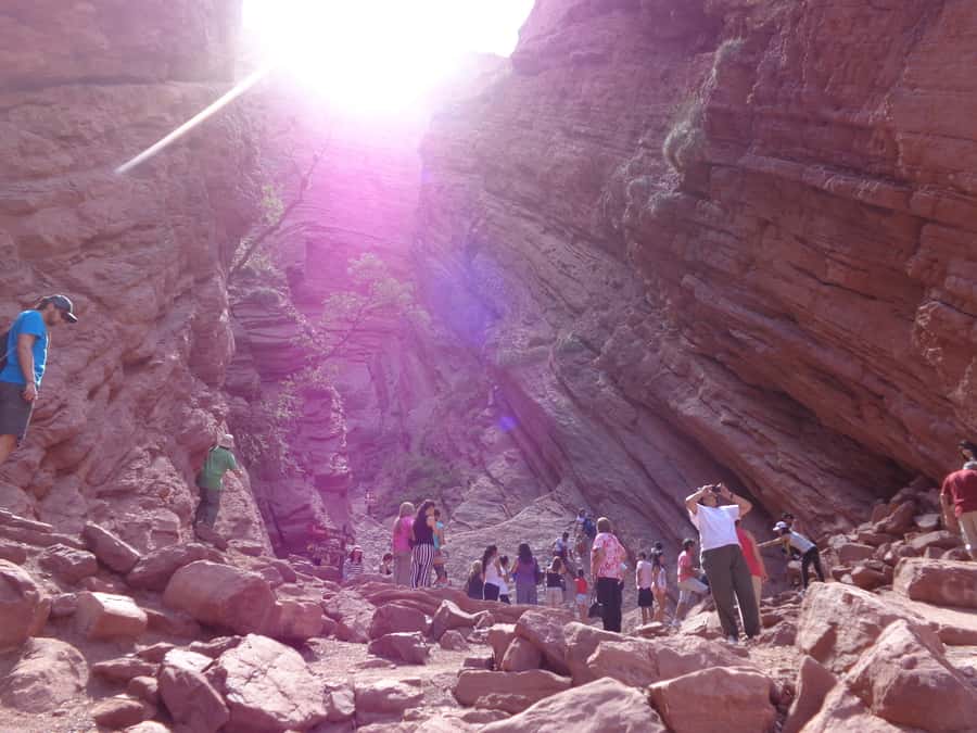 From Salta: Full-Day Tour to Cafayate with Wine Tasting - Why this road to Cafayate is worth your day