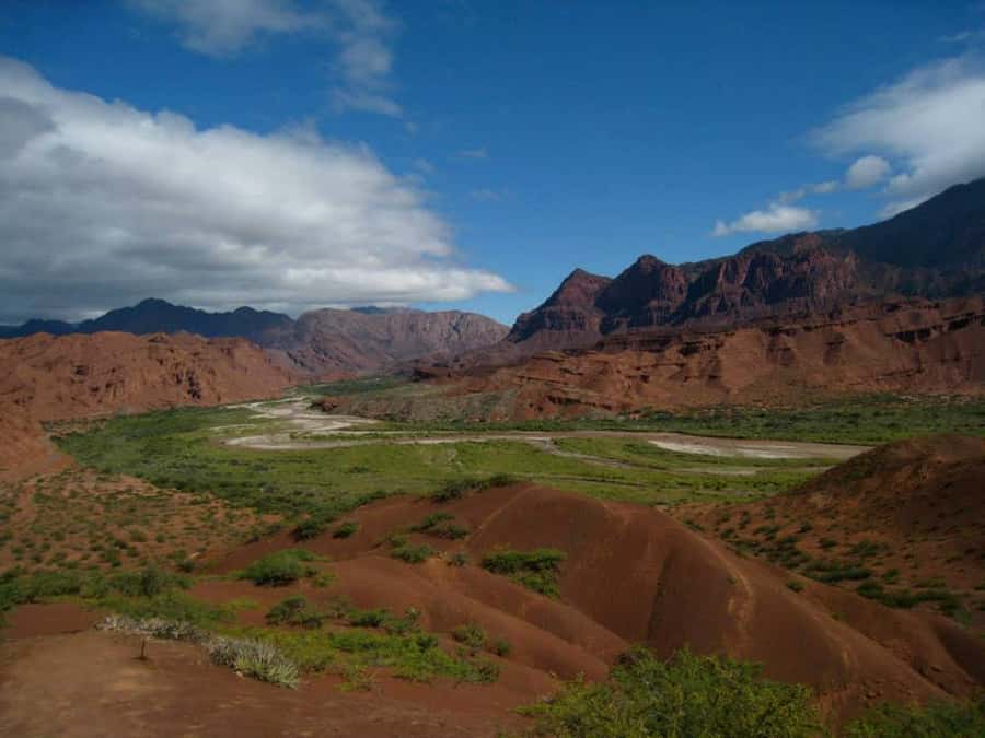 From Salta: Full-Day Tour to Cafayate with Wine Tasting - Tobacco fields and the Lerma Valley
