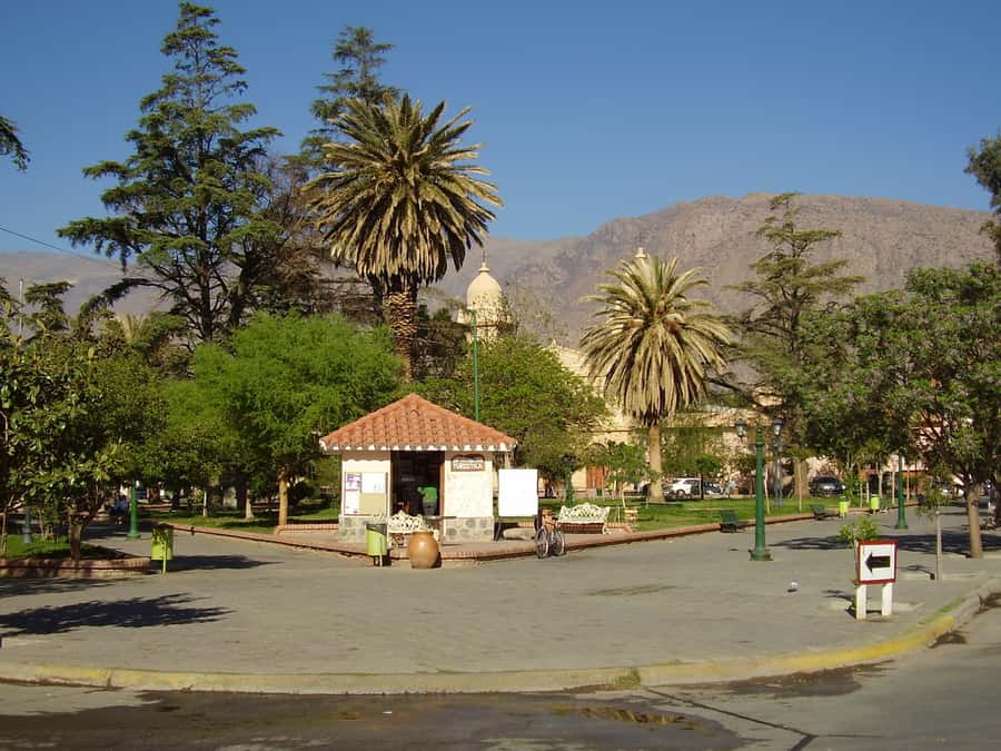 From Salta: Full-Day Tour to Cafayate with Wine Tasting - How good is the value at $29?