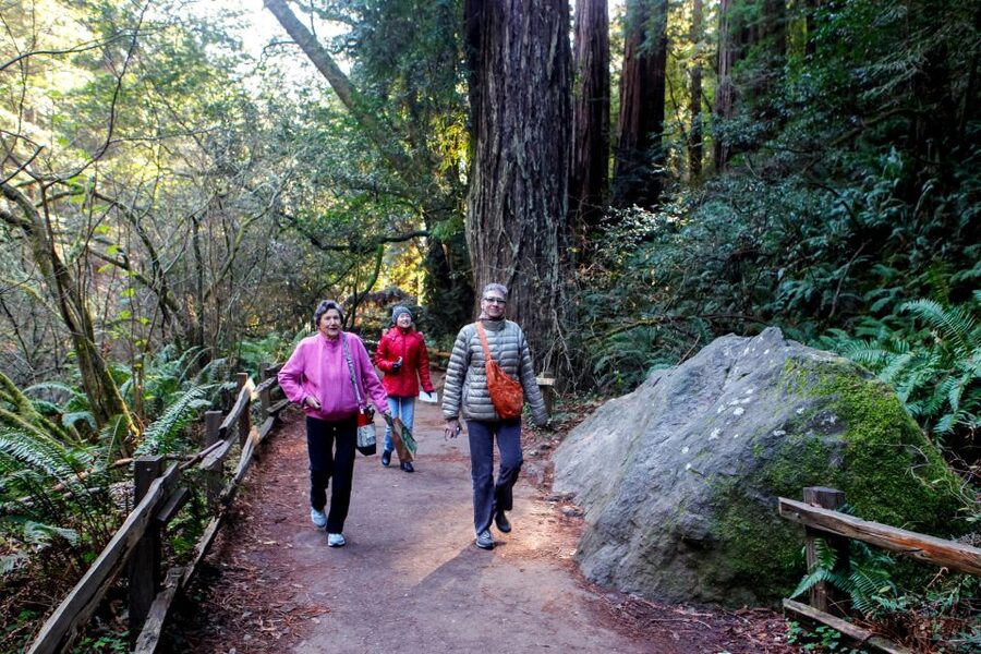 From San Francisco: Muir Woods & 3 Wineries in Napa & Sonoma - FAQ