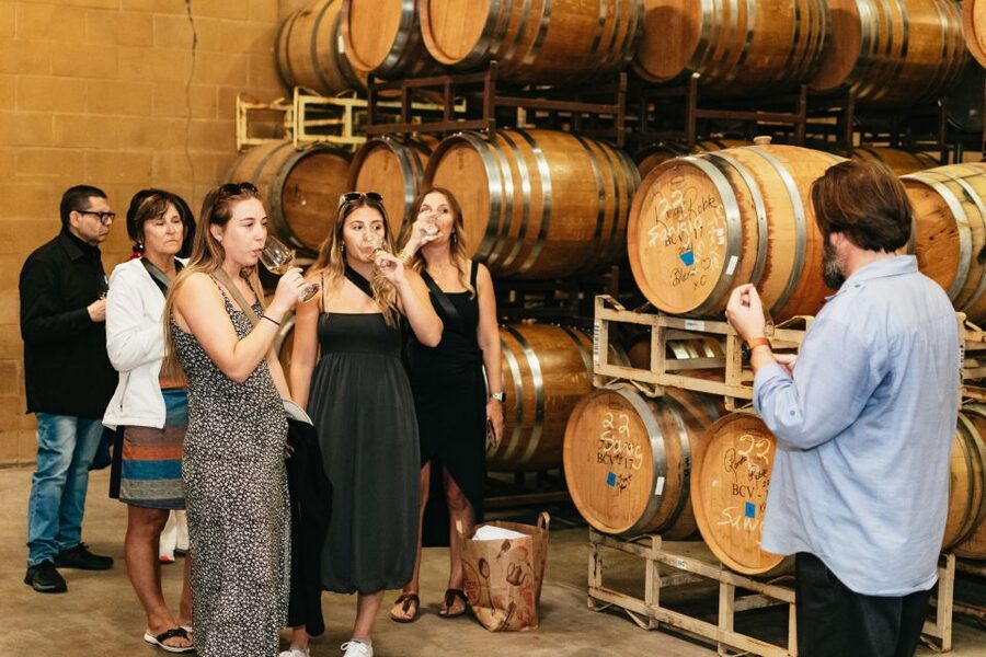 From San Francisco: Napa & Sonoma Valley Full-Day Wine Tour - Key points at a glance
