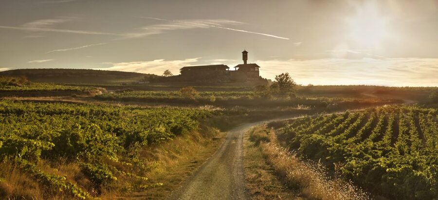 From San Sebastian/Bilbao/Vitoria: La Rioja Wineries Tour - Why Rioja makes a worthwhile day from the Basque Country
