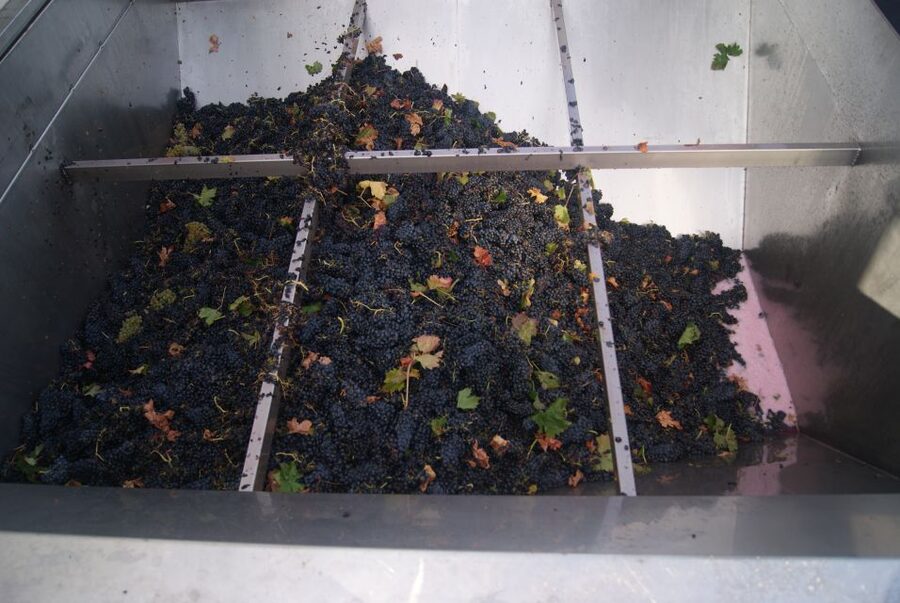 From San Sebastian/Bilbao/Vitoria: La Rioja Wineries Tour - Laguardia: cobbled streets, cellars, and vineyard views