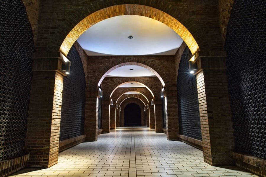 From San Sebastian/Bilbao/Vitoria: La Rioja Wineries Tour - Who will enjoy this Rioja day most?