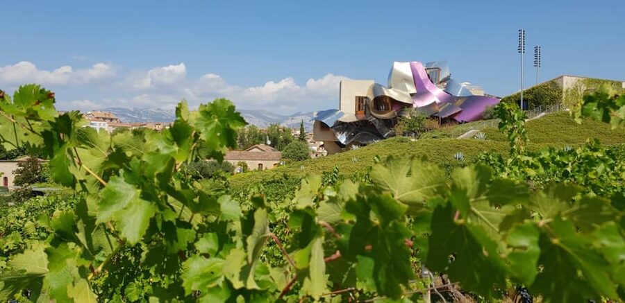 From San Sebastian/Bilbao/Vitoria: La Rioja Wineries Tour - Two wineries, two ways to understand Rioja