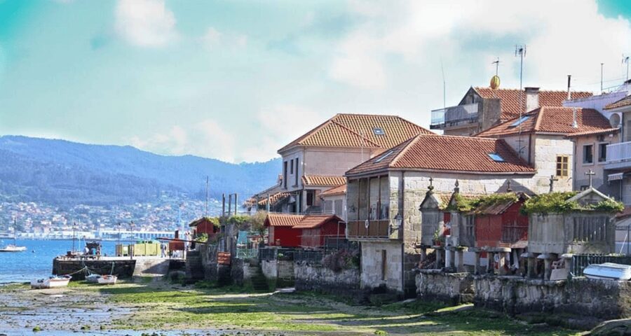 From Santiago: Rías Baixas Galicia Seafood & Wine Day Tour - Albariño country, from vine to tasting glass