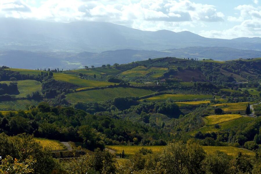 From Siena: Brunello di Montalcino Guided Wine Tour W/ Lunch - Which guides and travelers fit this tour best