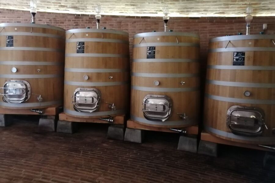 From Siena: Brunello di Montalcino Guided Wine Tour W/ Lunch - First winery: a close look at Brunello production