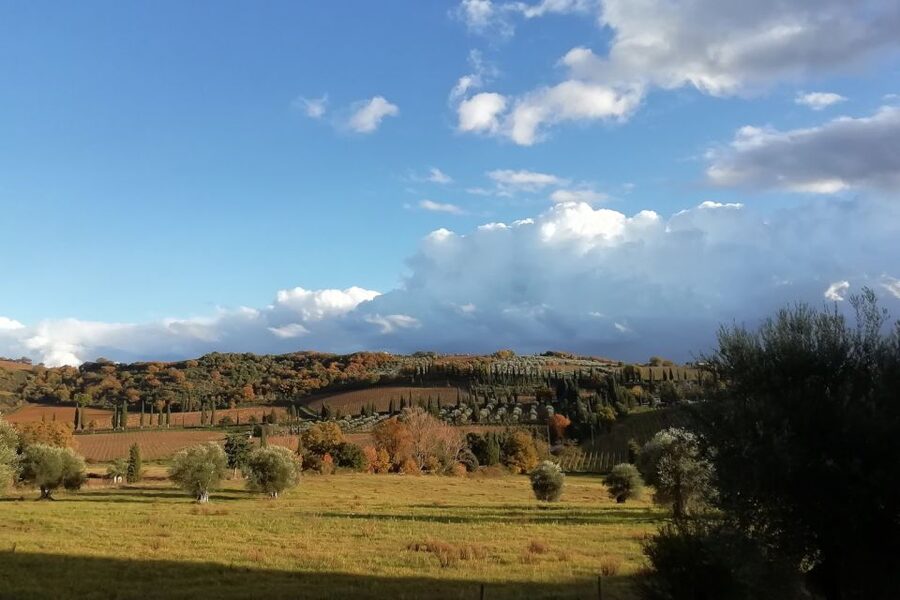 From Siena: Brunello di Montalcino Guided Wine Tour W/ Lunch - The third winery and the details of aging