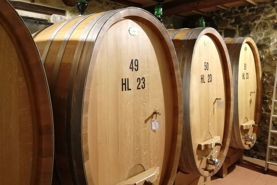 From Siena: Brunello di Montalcino Guided Wine Tour W/ Lunch - The minivan, group size, and full-day pace