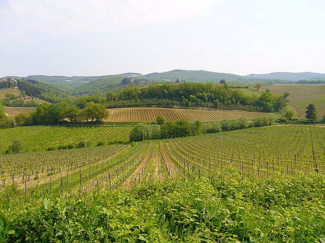 From Siena: Chianti and Castles Tour with Wine Tastings - Who should book this Chianti tour