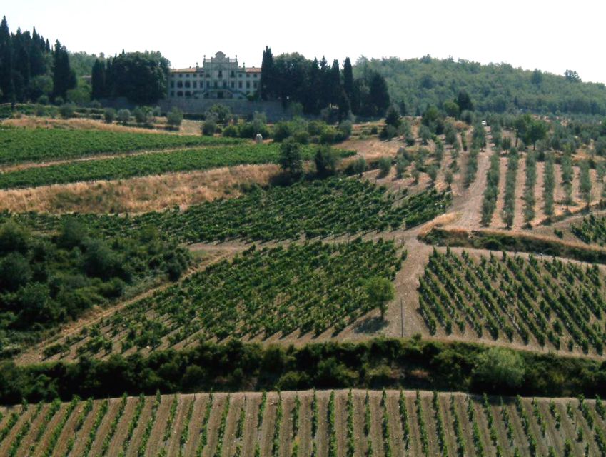 From Siena: Chianti and Castles Tour with Wine Tastings - Why this is a smart way to see Chianti from Siena