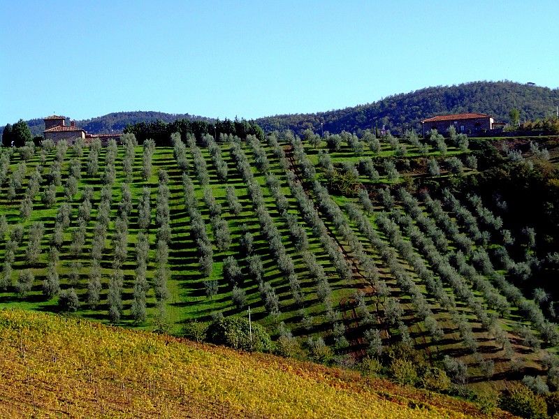 From Siena: Chianti and Castles Tour with Wine Tastings - Monteriggioni and its medieval walls
