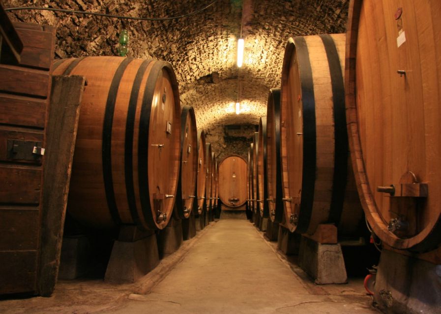 From Siena: Chianti and Castles Tour with Wine Tastings - The second winery in Chianti Classico