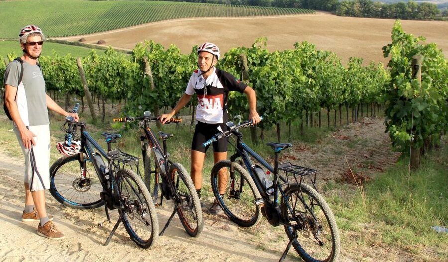 From Siena: Chianti Countryside E-Bike Tour w/ Lunch & Wine - Key Points Before You Book