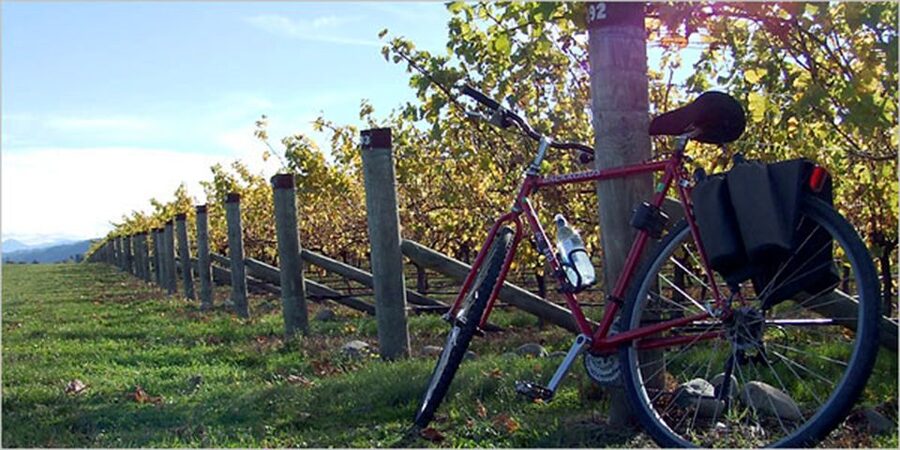 From Siena: Chianti Countryside E-Bike Tour w/ Lunch & Wine - Why This Ride Works So Well From Siena
