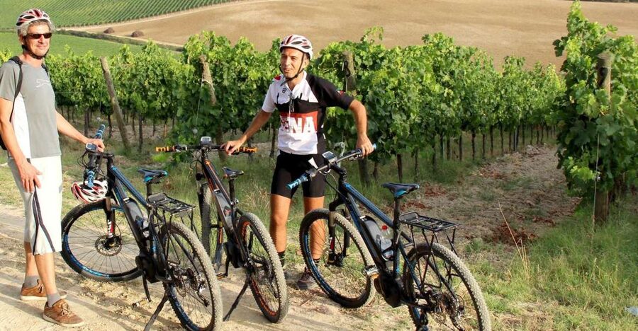 From Siena: Chianti Countryside E-Bike Tour w/ Lunch & Wine - Three Hours Among Vineyards and Olive Groves