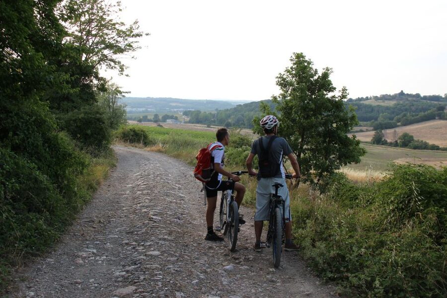 From Siena: Chianti Countryside E-Bike Tour w/ Lunch & Wine - A Farm Lunch With Wine and Olive Oil