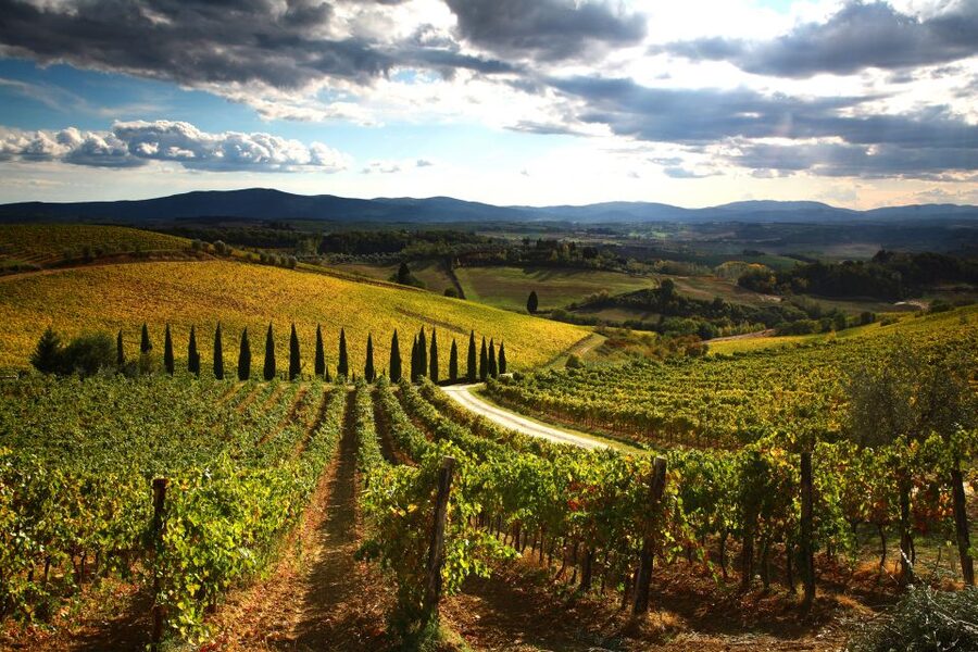 From Siena: Chianti Countryside E-Bike Tour w/ Lunch & Wine - The Ride Back to Siena
