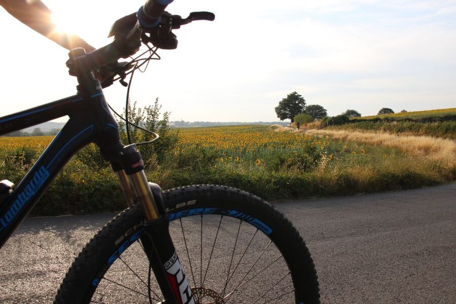 From Siena: Chianti Countryside E-Bike Tour w/ Lunch & Wine - Is $203.91 a Fair Price?
