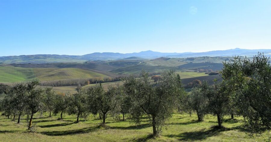 From Siena: Chianti Countryside E-Bike Tour w/ Lunch & Wine - Practical Tips for a Better Day