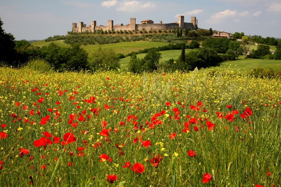From Siena: Chianti Countryside E-Bike Tour w/ Lunch & Wine - Getting Comfortable on the E-Bike