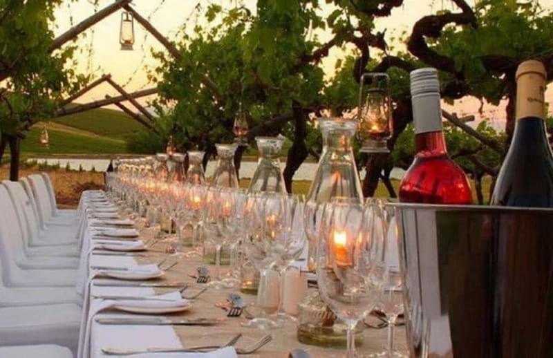 From Siena/Chianti: Dinner & Drinks in the Chianti Vineyards - Should you book the Chianti vineyard dinner?