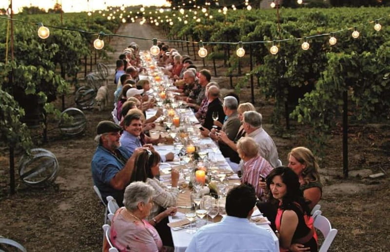 From Siena/Chianti: Dinner & Drinks in the Chianti Vineyards - Four Tuscan courses, with barbecue at the center