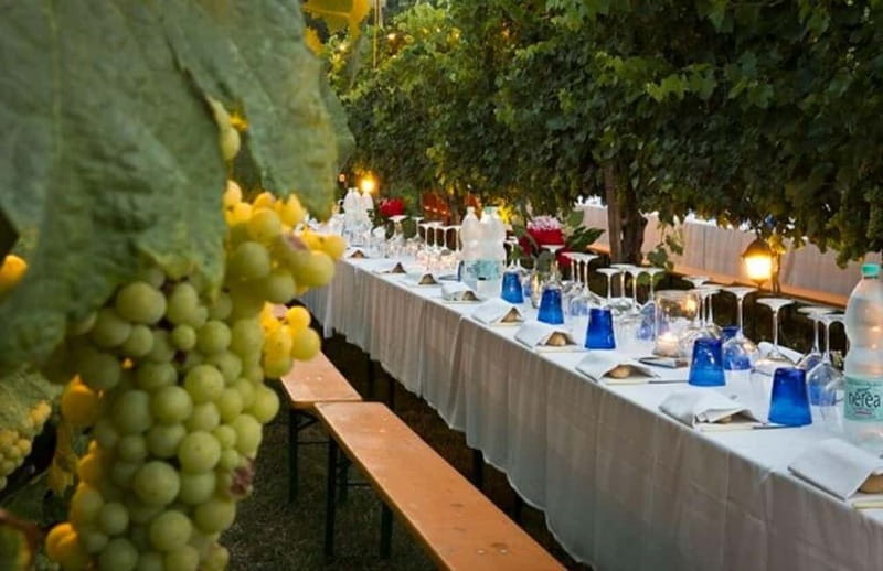 From Siena/Chianti: Dinner & Drinks in the Chianti Vineyards - Helpful booking details