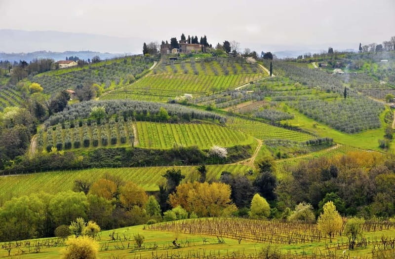 From Siena/Chianti: Dinner & Drinks in the Chianti Vineyards - A farmhouse winery with a sunset welcome