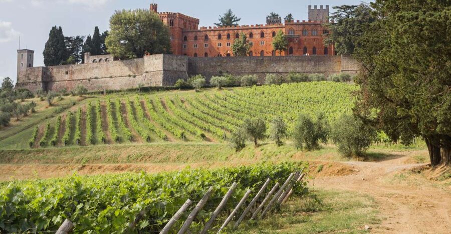 From Siena: Chianti Wine Tour with Lunch - Key points to know before booking