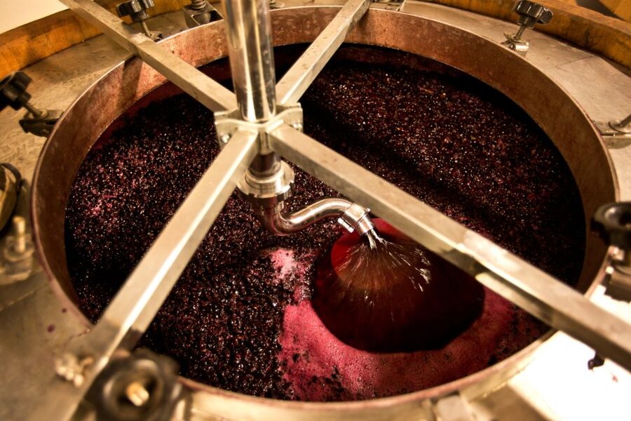 From Siena: Chianti Wine Tour with Lunch - Who should book this day in Chianti?