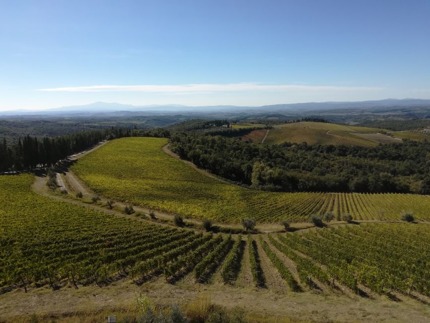 From Siena: Chianti Wine Tour with Lunch - Why this Chianti day works so well from Siena
