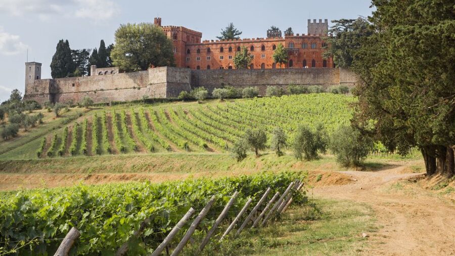 From Siena: Chianti Wine Tour with Lunch - Hilltop towns, castles, and wide country views