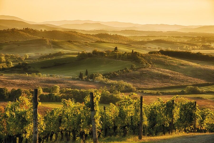 From Siena: Day Tour in a Vintage Fiat 500 with Winery - The countryside winery is the main payoff