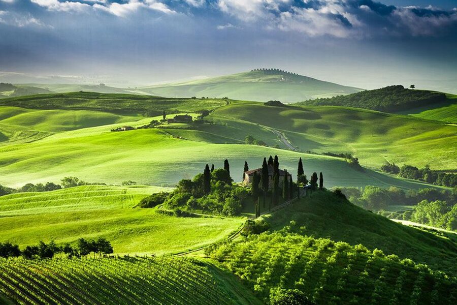 From Siena: Tuscany Hills Wine Tour - Montepulciano and its famous red wine