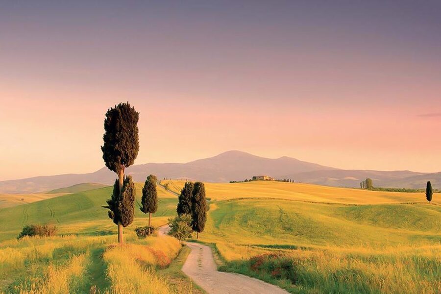 From Siena: Tuscany Hills Wine Tour - The second cellar and Nobile di Montepulciano