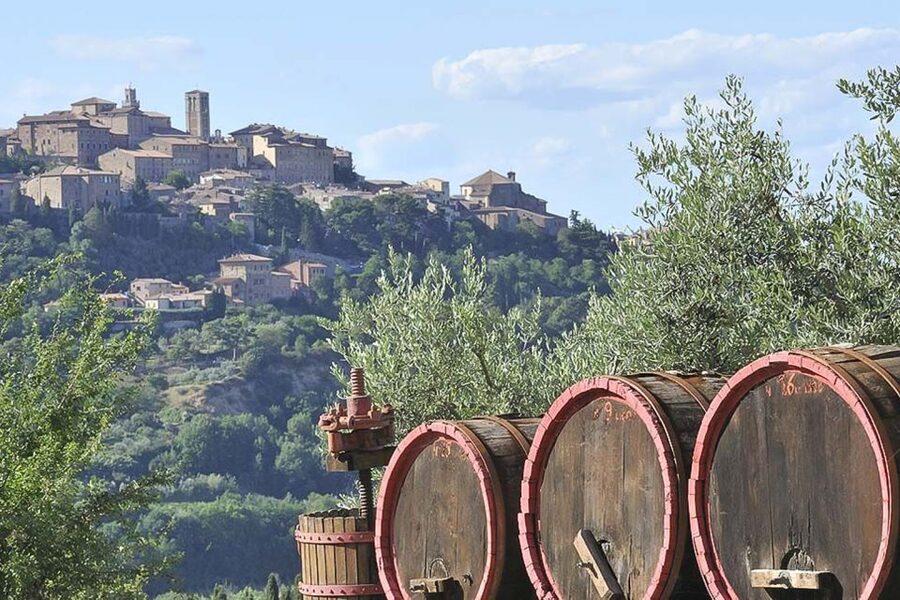 From Siena: Tuscany Hills Wine Tour - What the guide adds