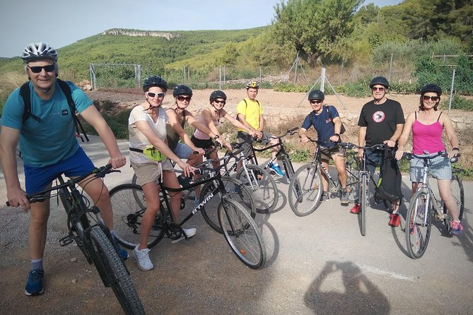From Sitges: Bike Tour and Winery Visit with Free Hotel Pick Up. - Wine stops among the vineyards
