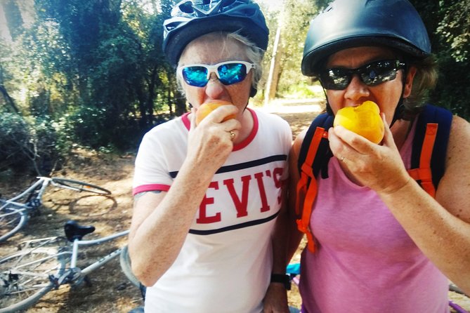 From Sitges: Bike Tour and Winery Visit with Free Hotel Pick Up. - Caves Romagosa Torne and Montse’s family cellar