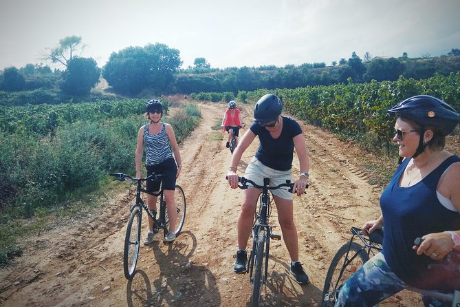 From Sitges: Bike Tour and Winery Visit with Free Hotel Pick Up. - Pickup from Sitges and the five-hour schedule