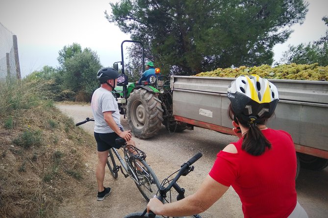 From Sitges: Bike Tour and Winery Visit with Free Hotel Pick Up. - Who will enjoy this ride most