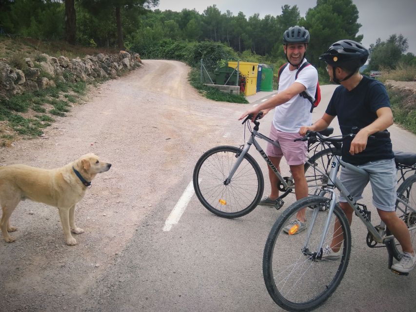 From Sitges: Cycling Tour with Winery visit and Tasting - Practical points for a smoother day